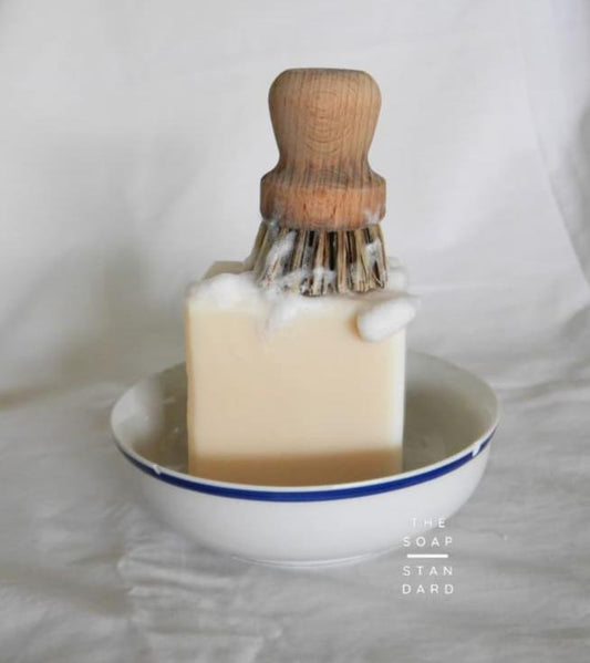 True Dish Block Soap in a white ceramic bowl with a lathered wooden dish brush on top, on white background.