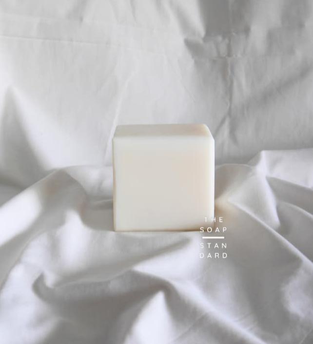 True Dish Block Soap on white background.