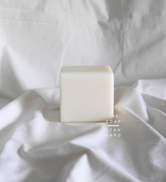 True Dish Block Soap on white background.